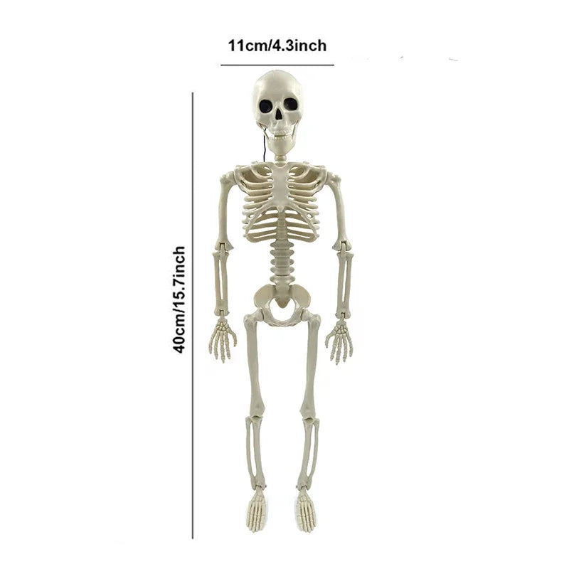 Movable Halloween Skeleton with Skull & Bones – Haunted House Party Decor.