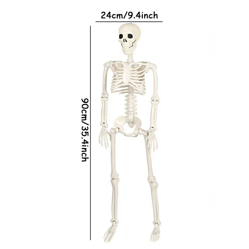 Movable Halloween Skeleton with Skull & Bones – Haunted House Party Decor.
