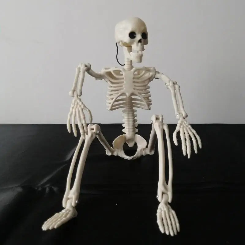 Movable Halloween Skeleton with Skull & Bones – Haunted House Party Decor.