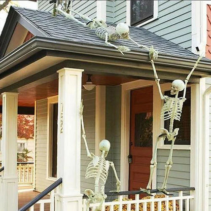 Movable Halloween Skeleton with Skull & Bones – Haunted House Party Decor.