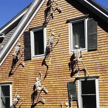 Movable Halloween Skeleton with Skull & Bones – Haunted House Party Decor.